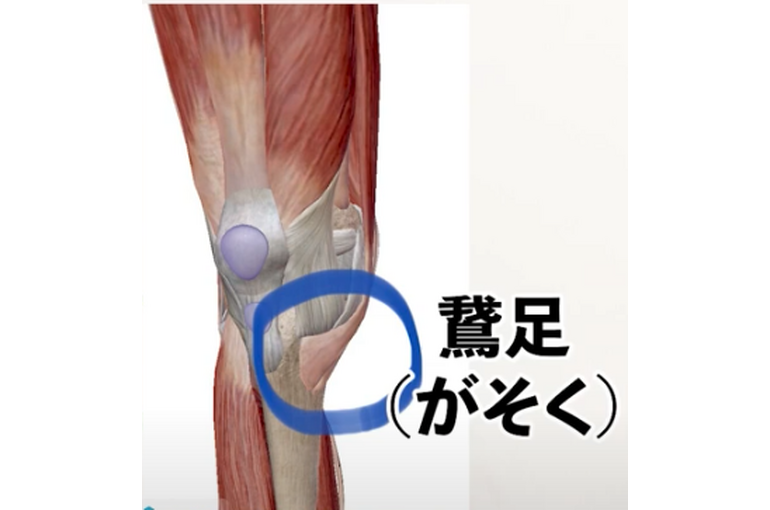 鵞足炎