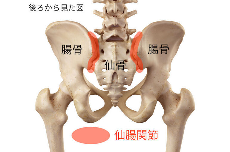 仙腸関節